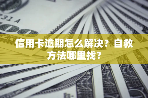 武汉信用卡逾期怎么解决?自救方法哪里找? 武汉信用卡逾期怎么解决?自救方法哪里找?